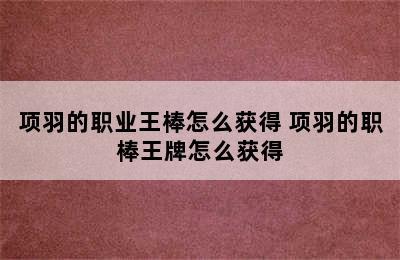 项羽的职业王棒怎么获得 项羽的职棒王牌怎么获得